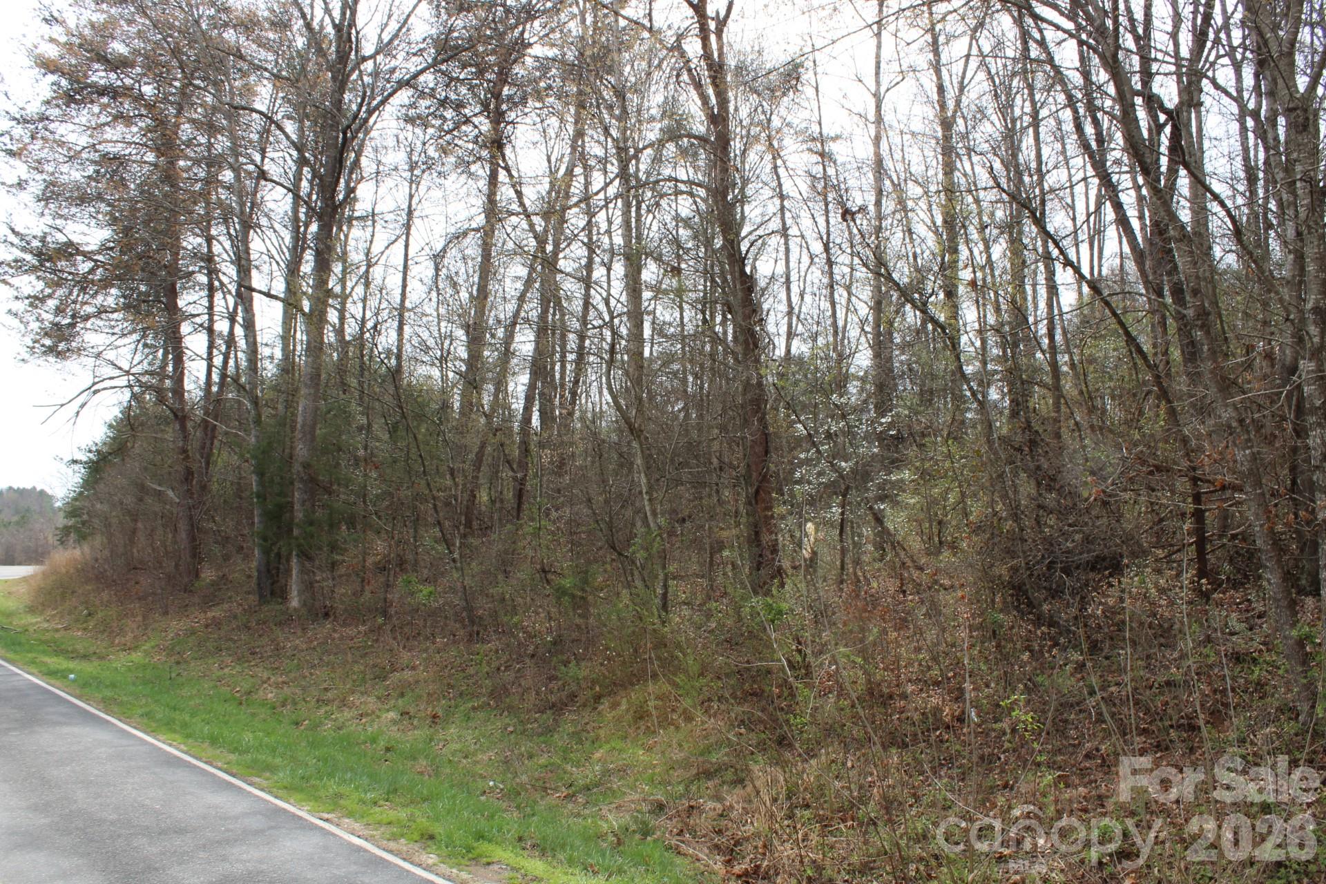 0 Vashti Road Hiddenite, NC 28636 - Photo 20 of 38 a view of a yard with large trees