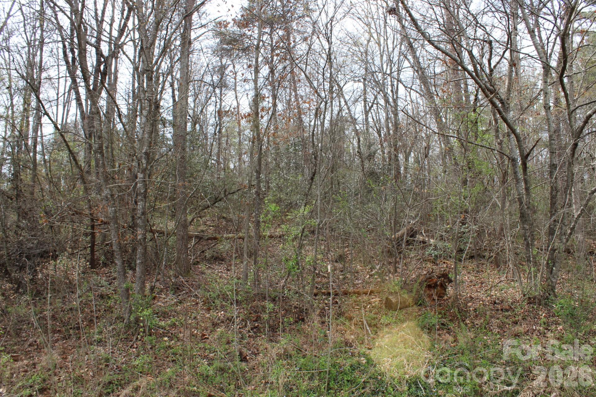 0 Vashti Road Hiddenite, NC 28636 - Photo 21 of 38 a view of a yard with trees in front of house