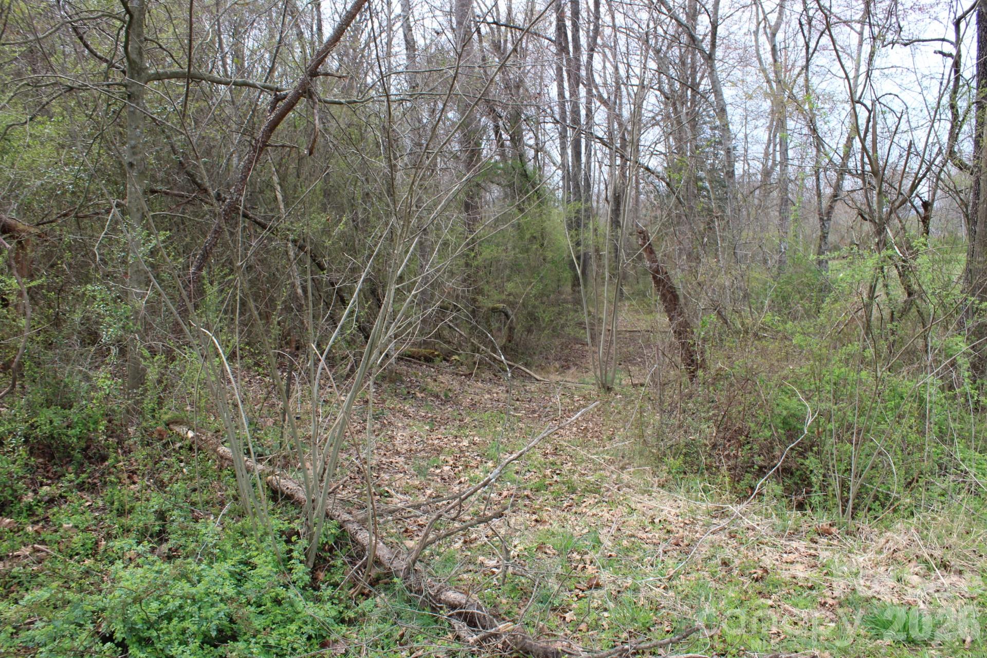0 Vashti Road Hiddenite, NC 28636 - Photo 22 of 38 a view of a yard