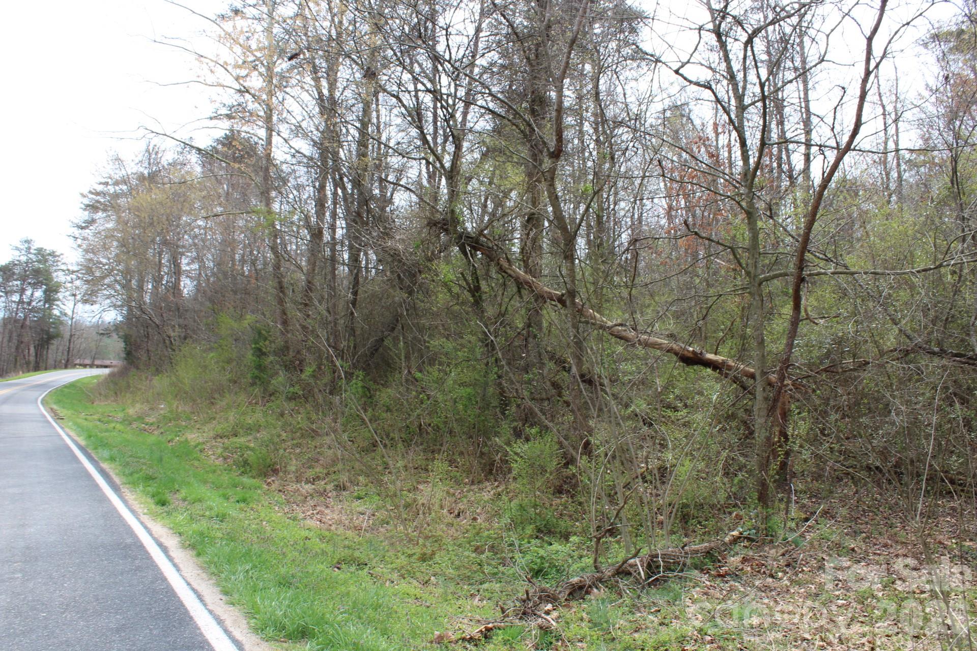 0 Vashti Road Hiddenite, NC 28636 - Photo 23 of 38 a view of a yard with large trees