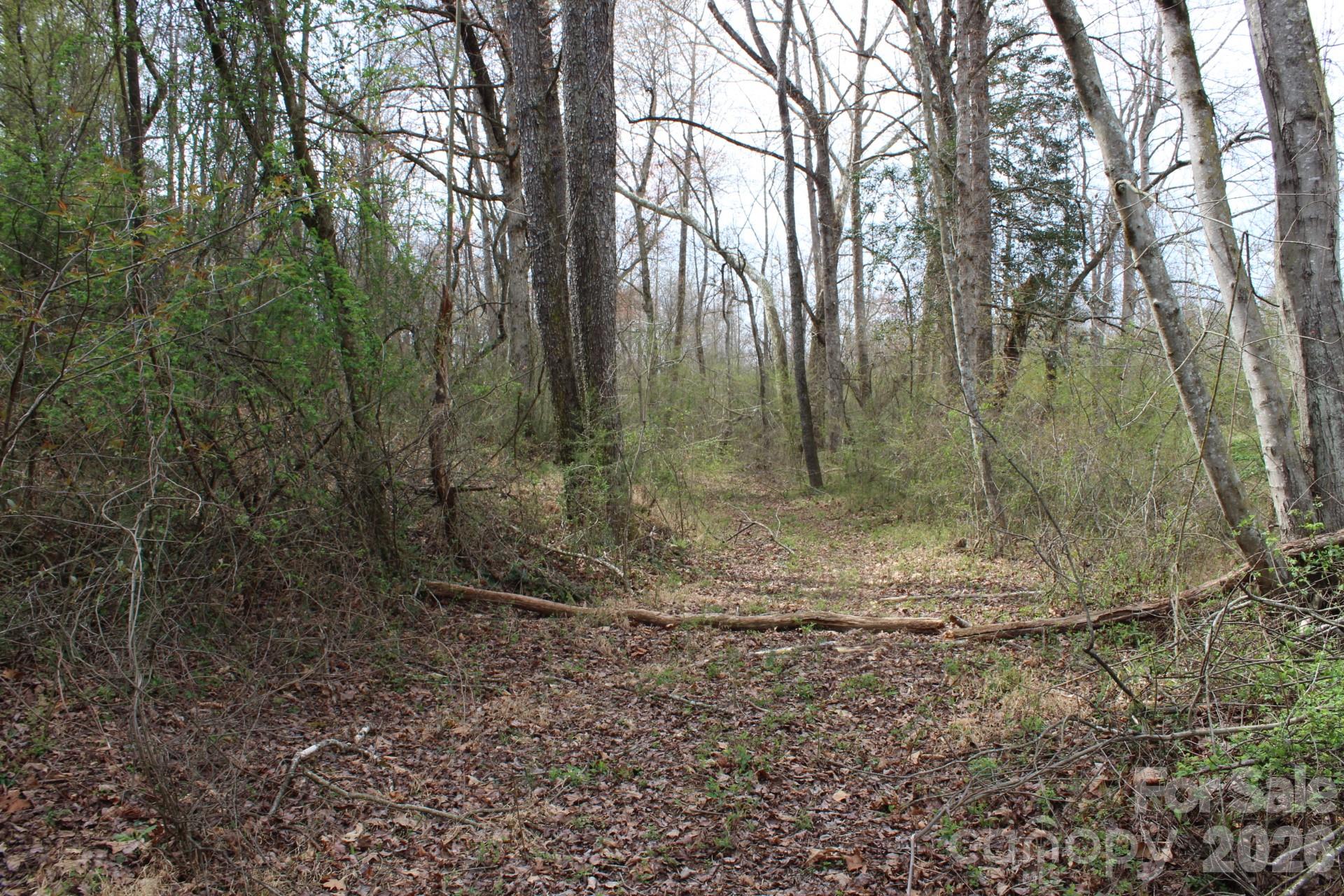 0 Vashti Road Hiddenite, NC 28636 - Photo 24 of 38 a view of a forest with trees