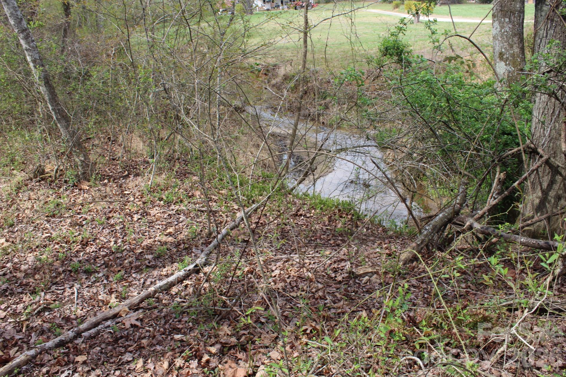 0 Vashti Road Hiddenite, NC 28636 - Photo 25 of 38 a view of a yard with a tree