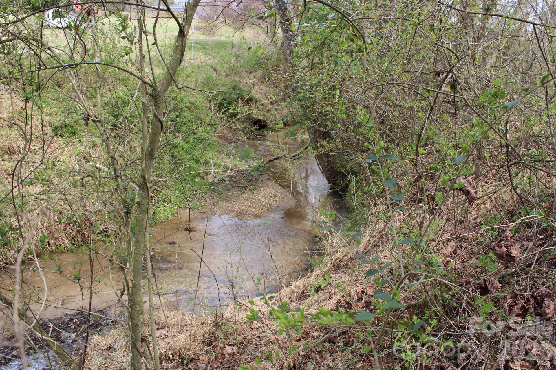 0 Vashti Road Hiddenite, NC 28636 - Photo 26 of 38 a close up of a plant in a garden