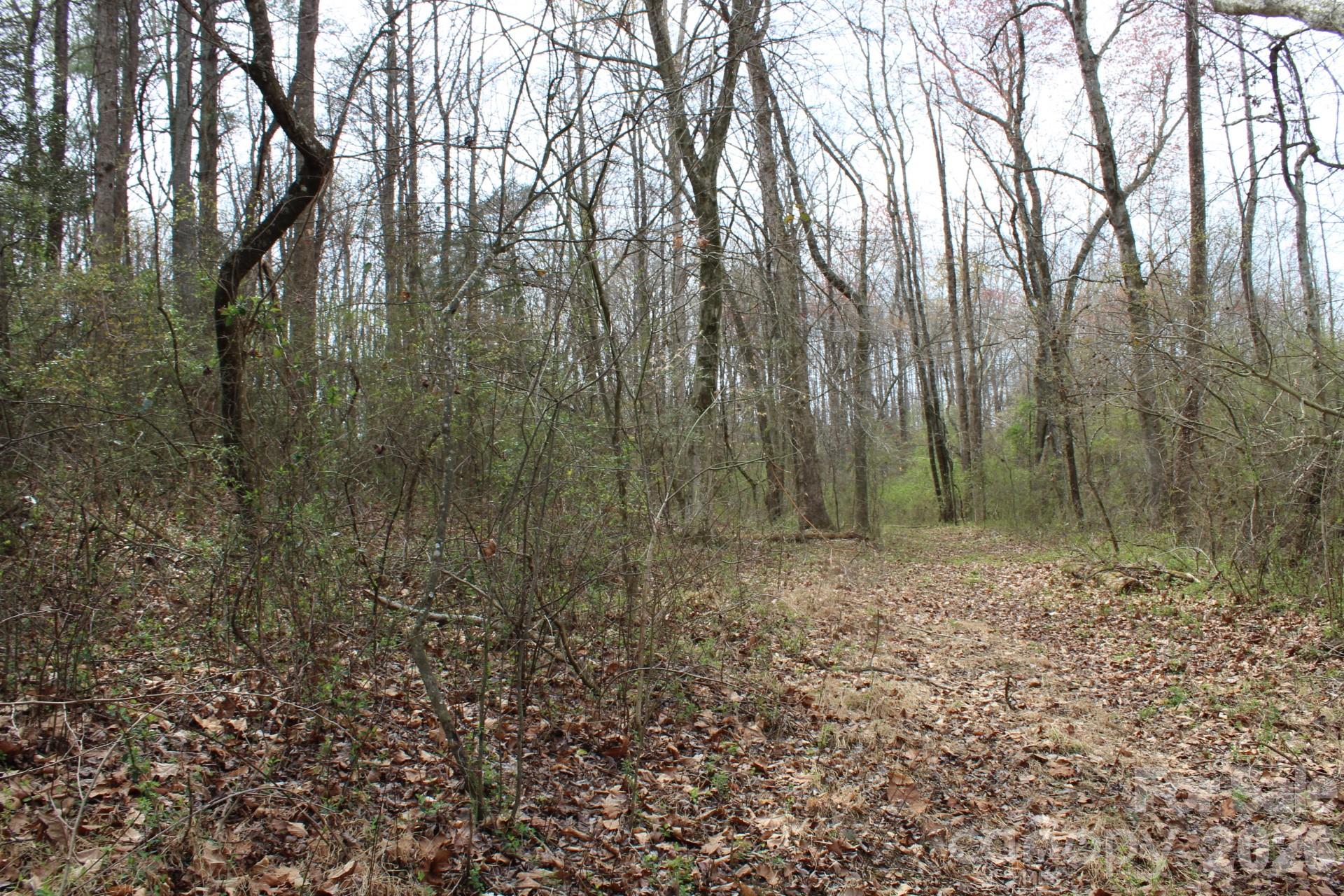 0 Vashti Road Hiddenite, NC 28636 - Photo 28 of 38 a view of a forest with trees in the background