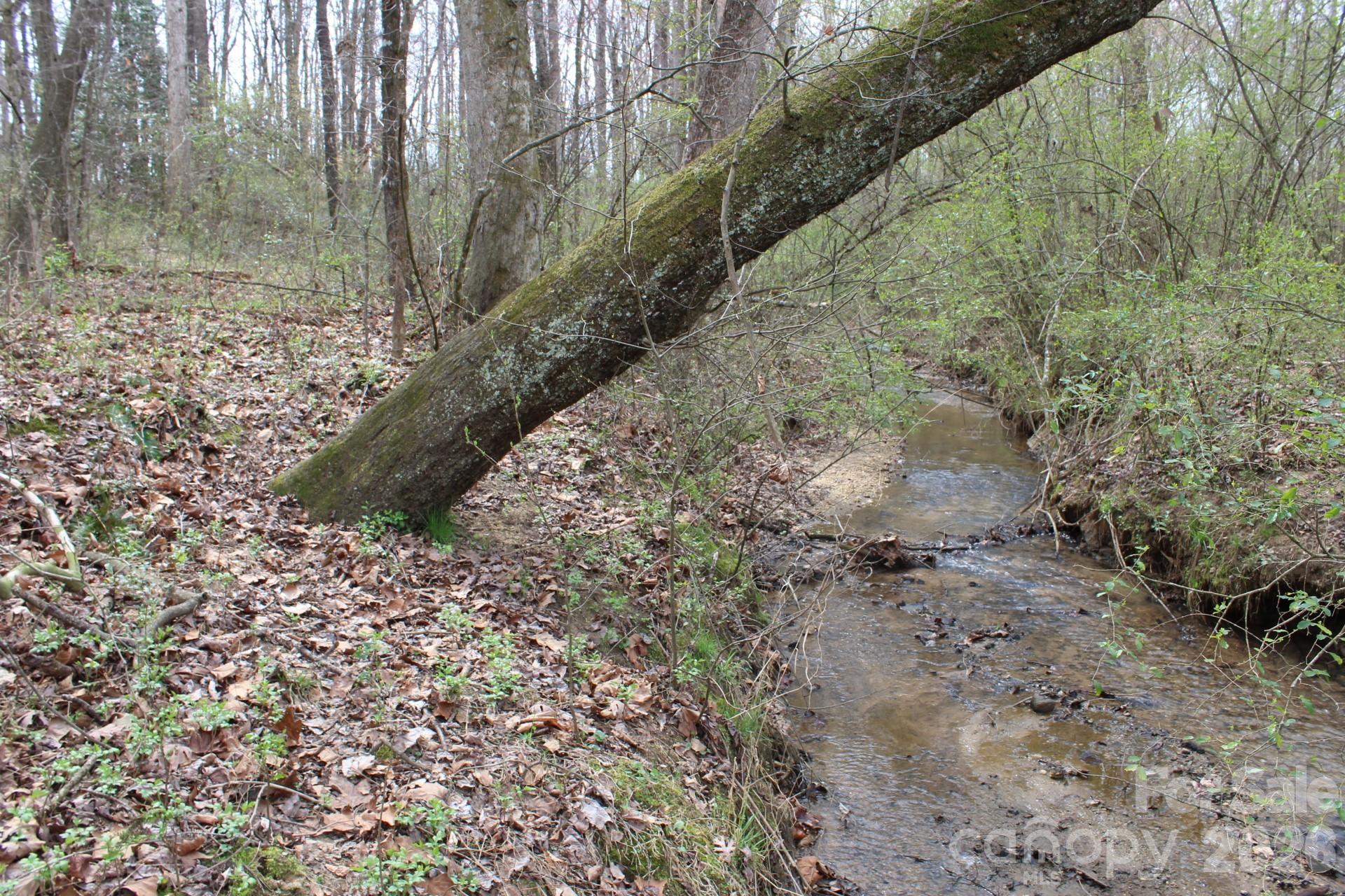0 Vashti Road Hiddenite, NC 28636 - Photo 29 of 38 a view of a dry yard with trees