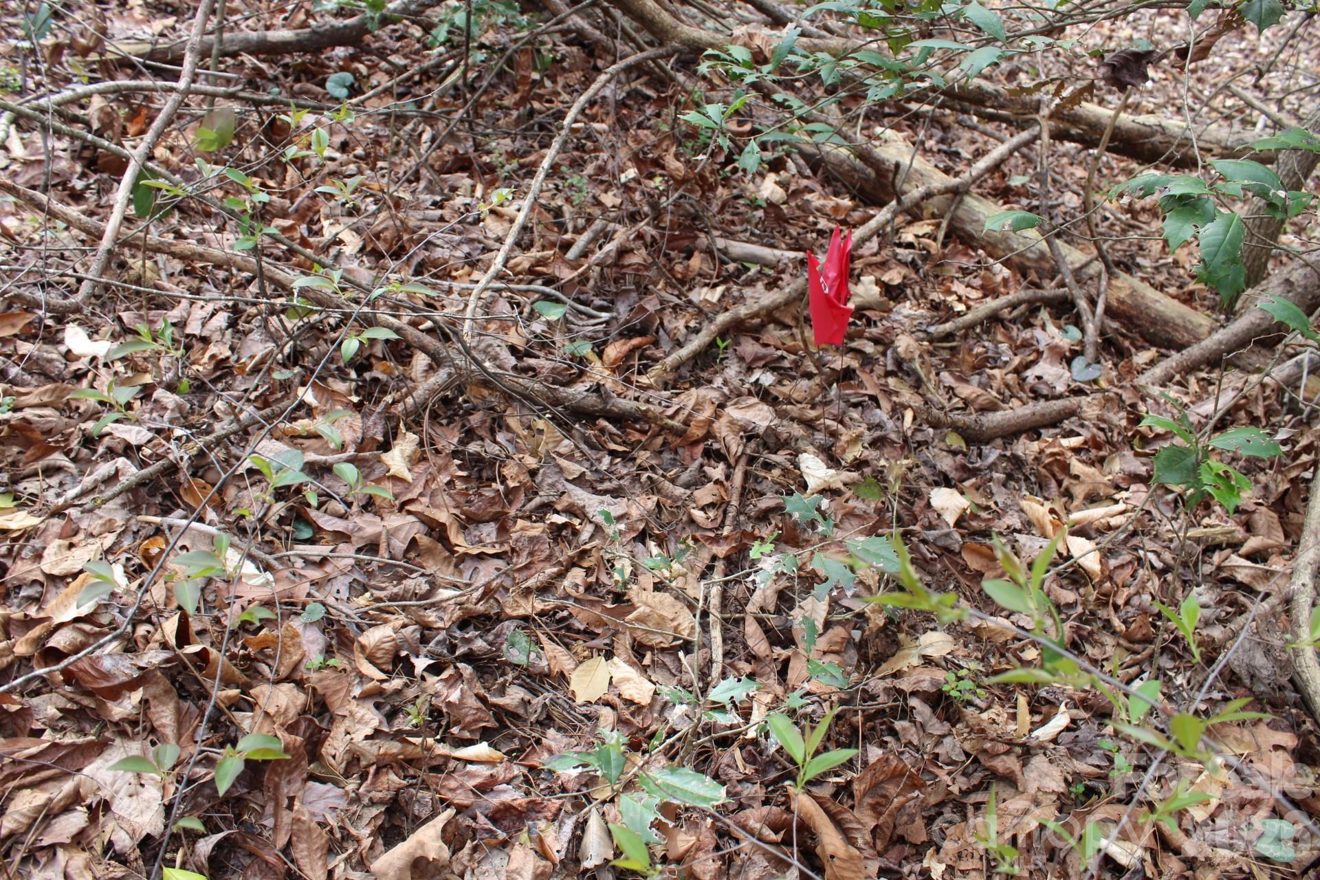 0 Vashti Road Hiddenite, NC 28636 - Photo 31 of 38 unknown