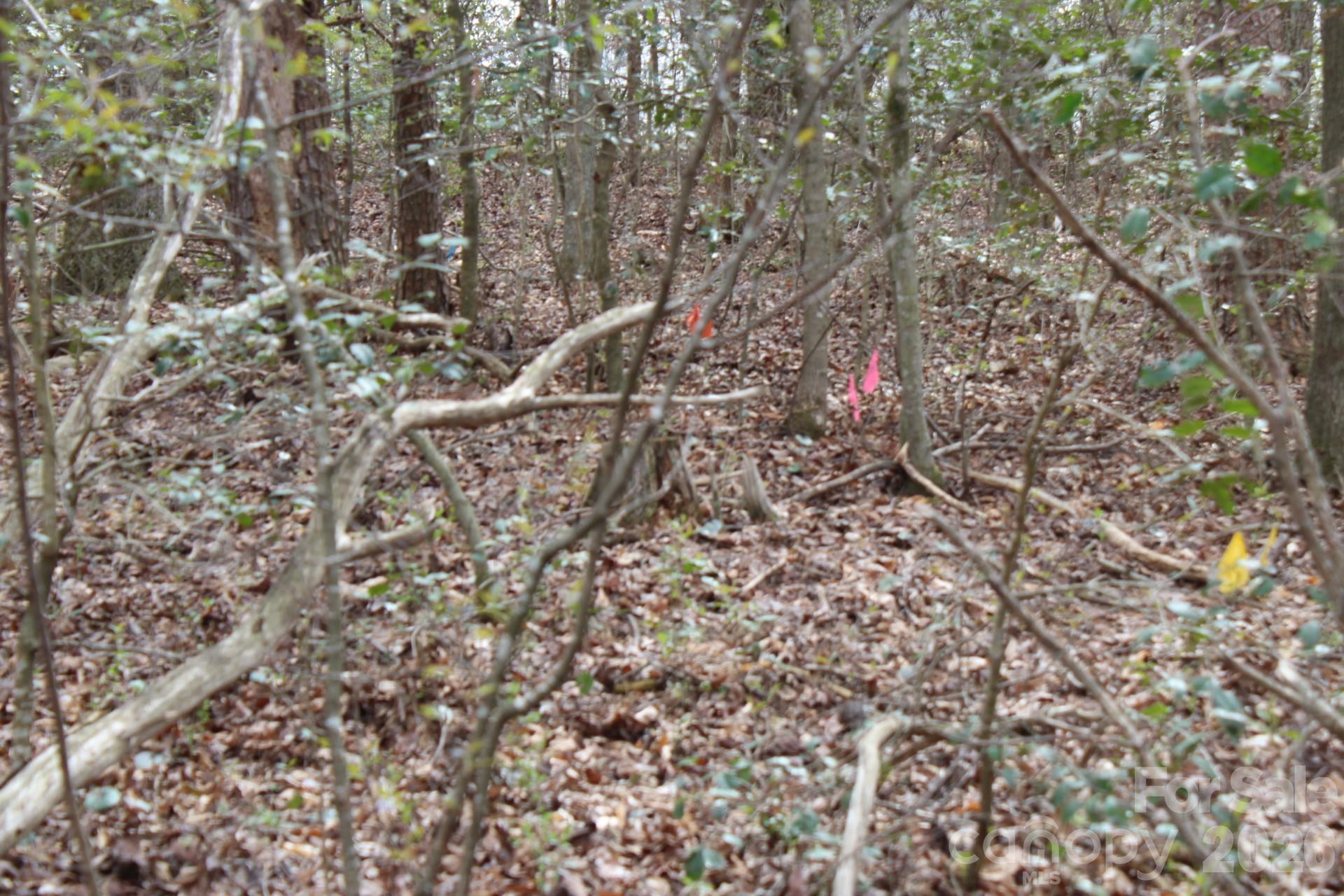 0 Vashti Road Hiddenite, NC 28636 - Photo 32 of 38 a view of a yard with a tree