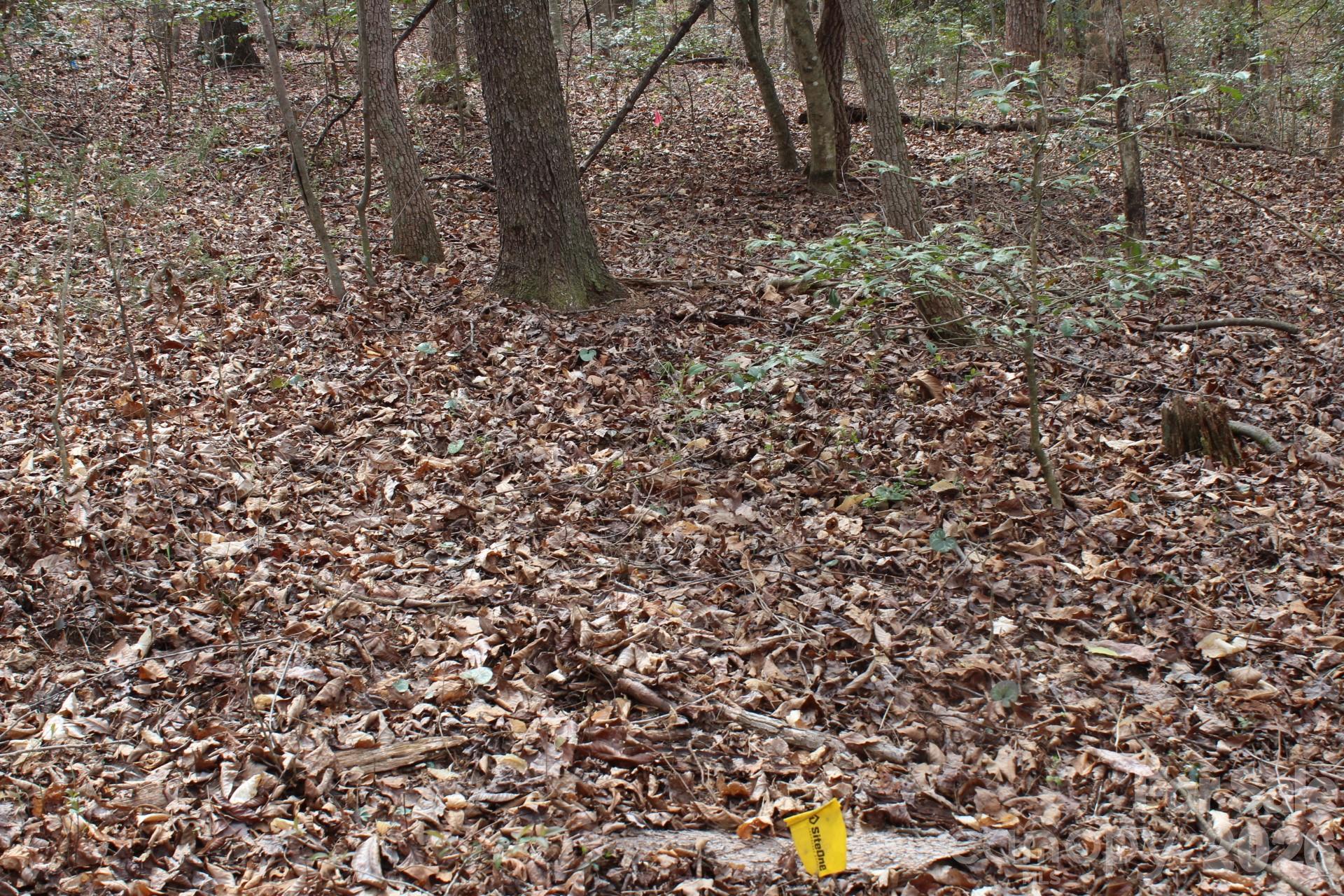 0 Vashti Road Hiddenite, NC 28636 - Photo 33 of 38 a view of a yard with a tree