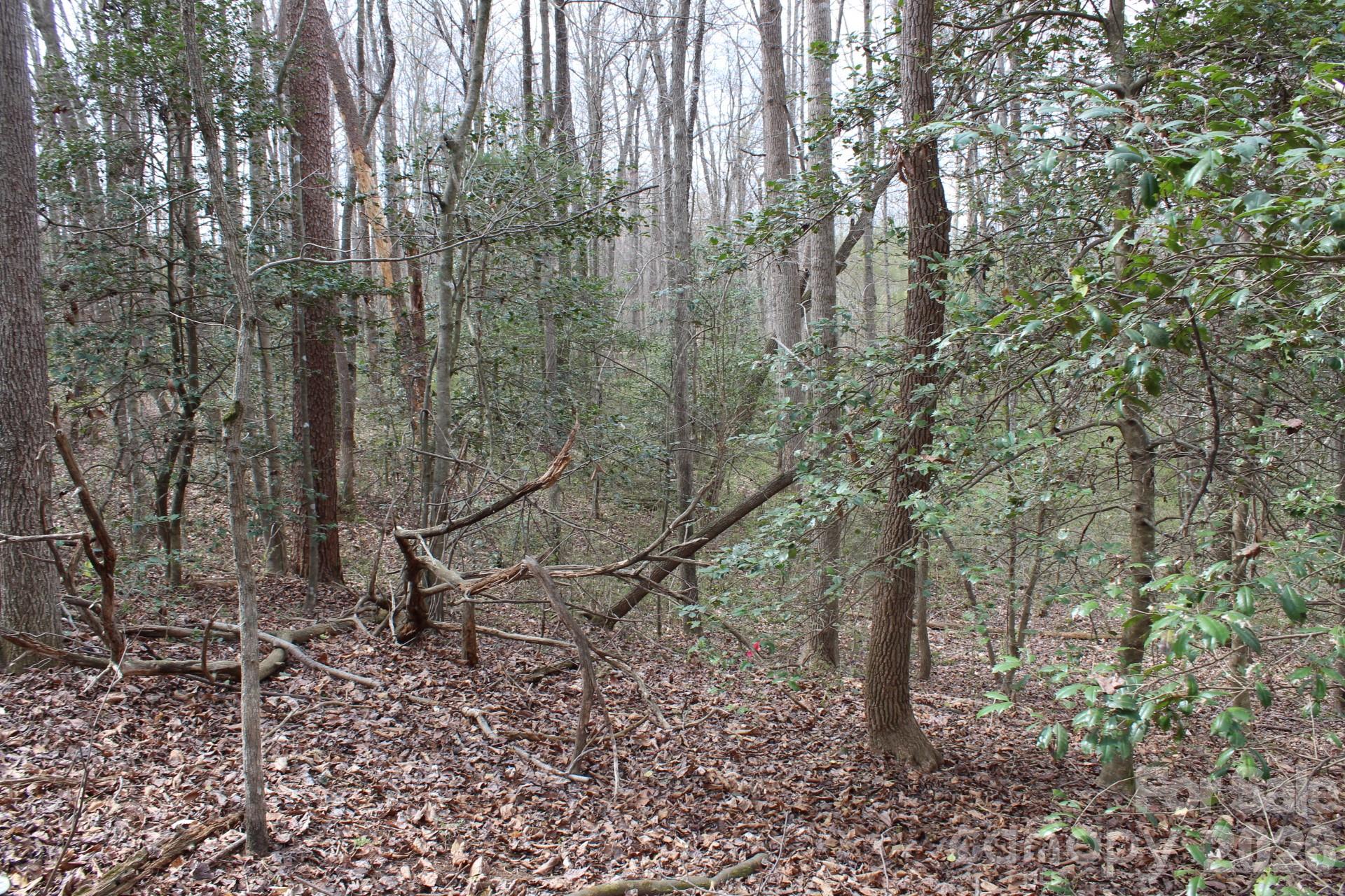 0 Vashti Road Hiddenite, NC 28636 - Photo 34 of 38 a backyard of a house with lots of green space