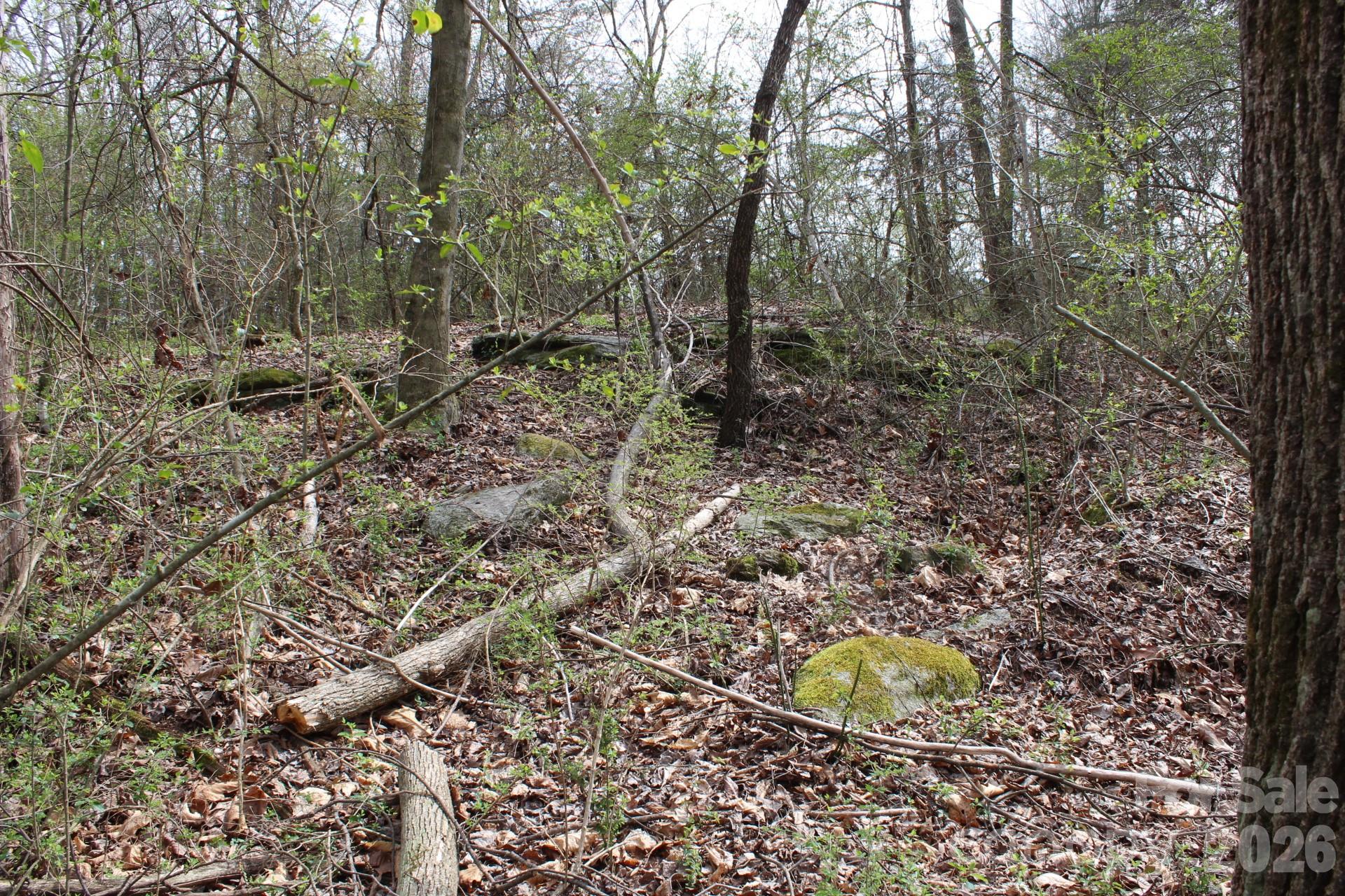 0 Vashti Road Hiddenite, NC 28636 - Photo 36 of 38 a view of a yard with large trees
