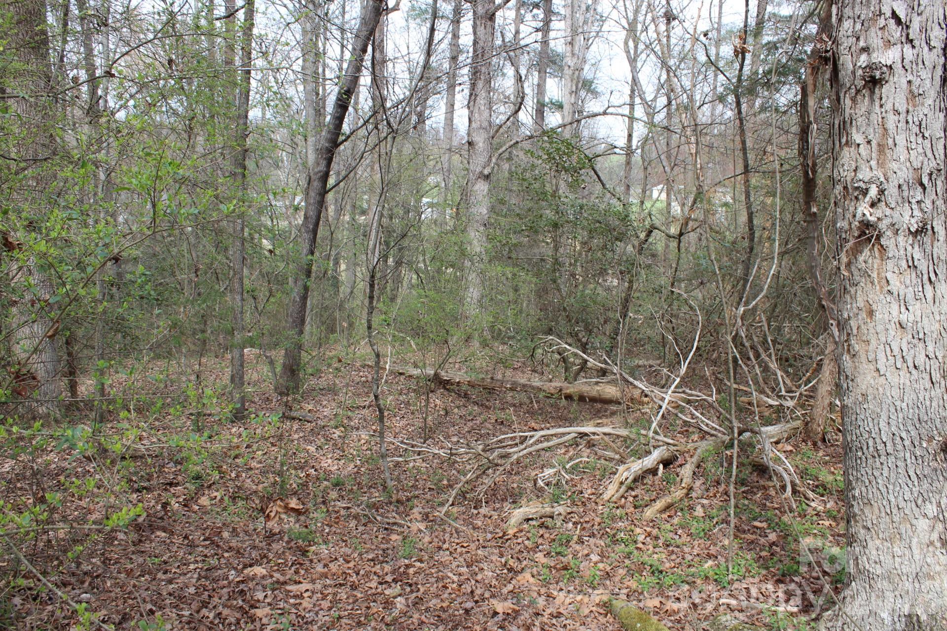 0 Vashti Road Hiddenite, NC 28636 - Photo 38 of 38 a view of a forest with trees in the background