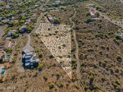 view of a dry yard with wooden floor