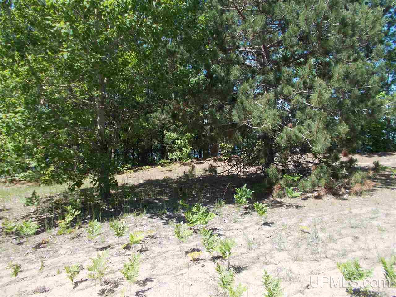 Lot A Lot A D Road Big Bay, MI 49808 - Photo 11 of 16