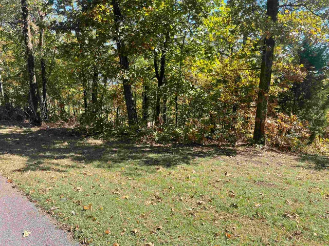 a view of a yard with an trees