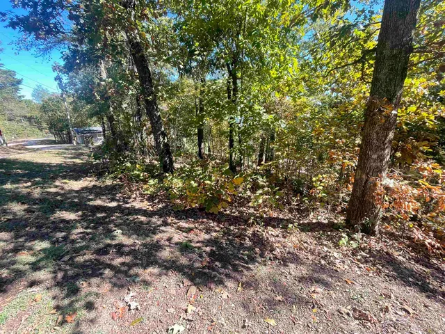 a view of a yard with a tree