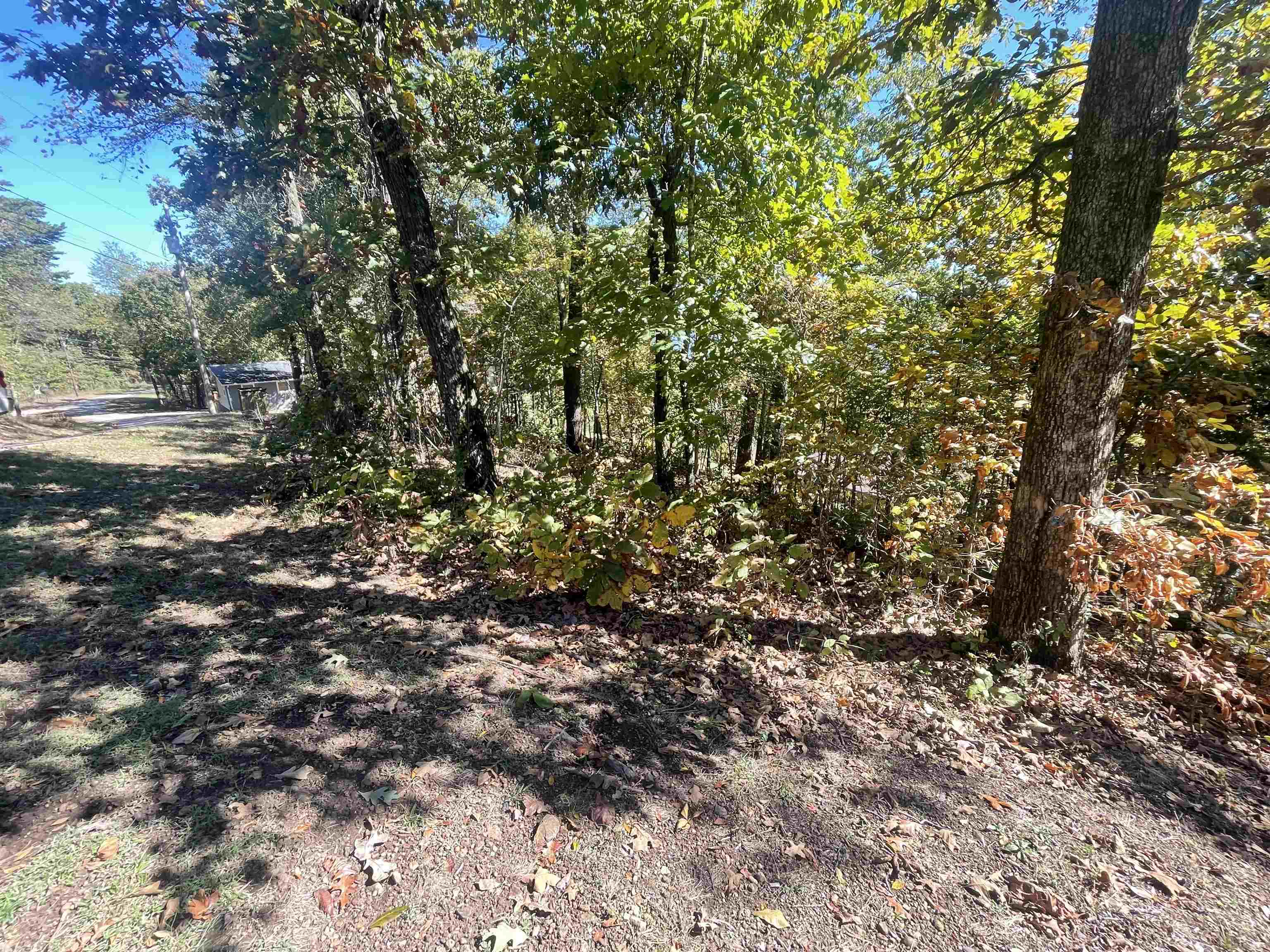 87 Cr 262 Road Iuka, MS 38852 - Photo 4 of 5 a view of a yard with a tree