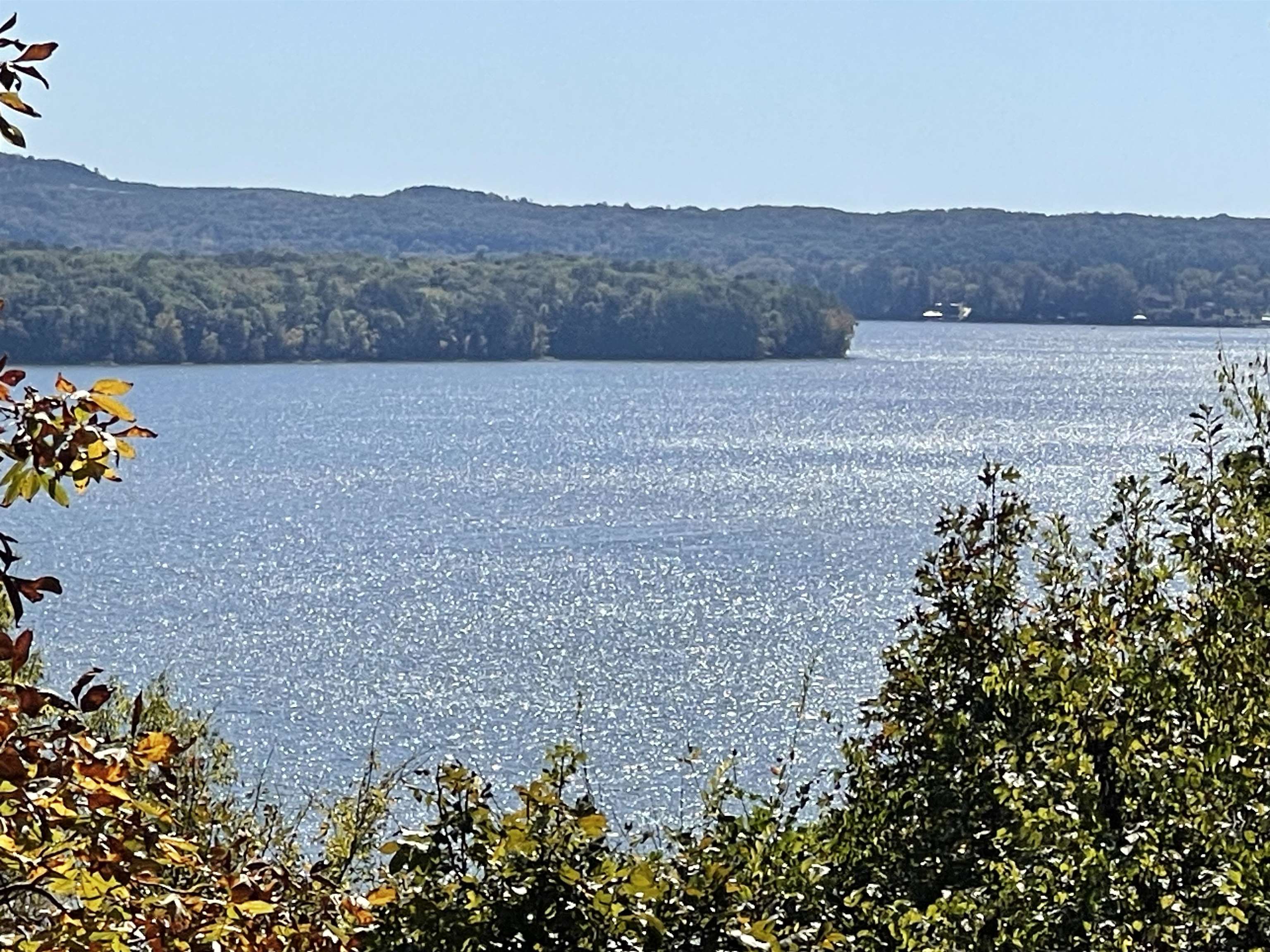 87 Cr 262 Road Iuka, MS 38852 - Photo 5 of 5 a view of a dry yard with trees