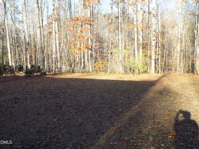 a view of a house with backyard and porch