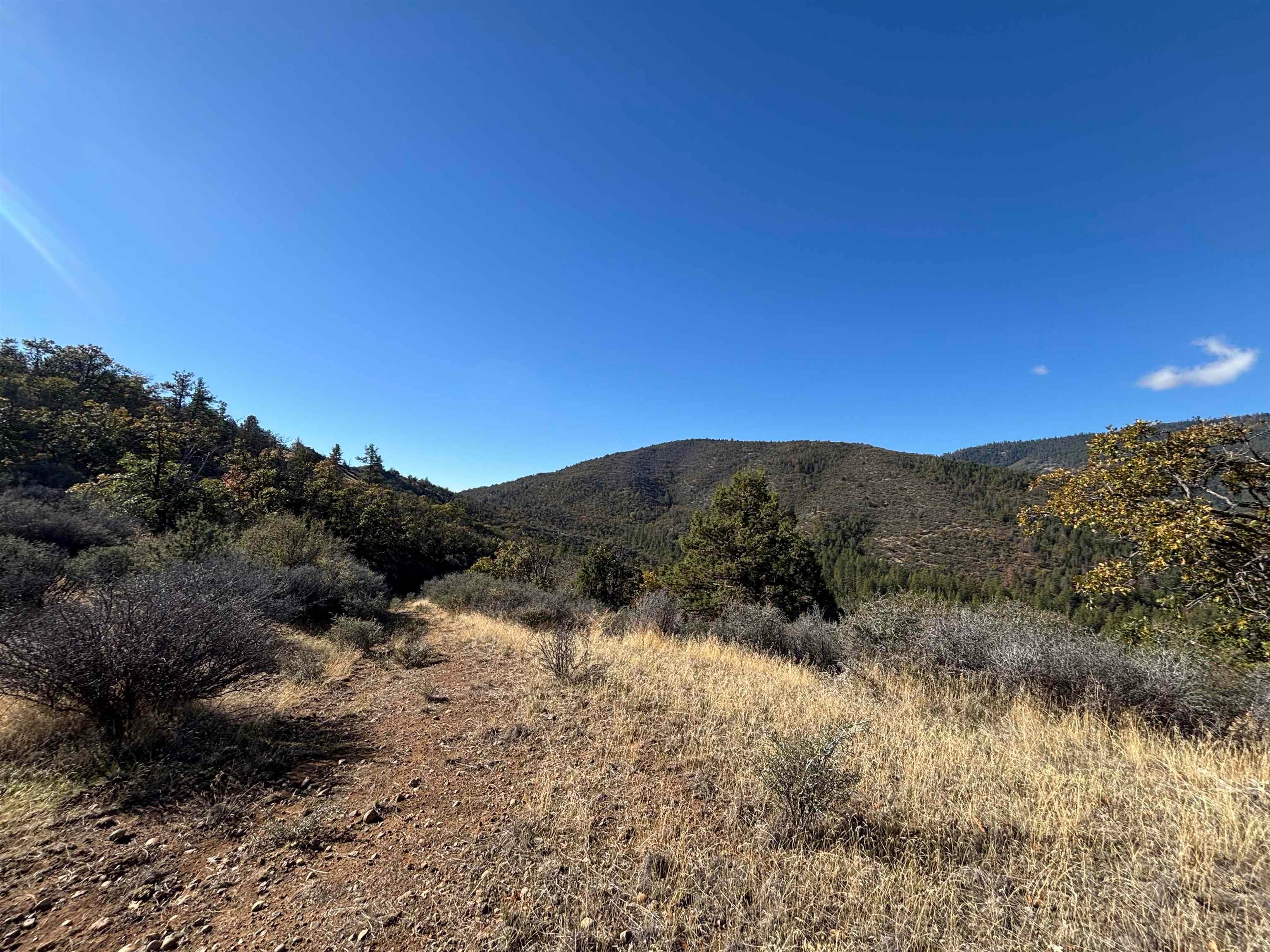 0 Guys Gulch Road Yreka, CA 96097 - Photo 9 of 11 Gallery Image 9
