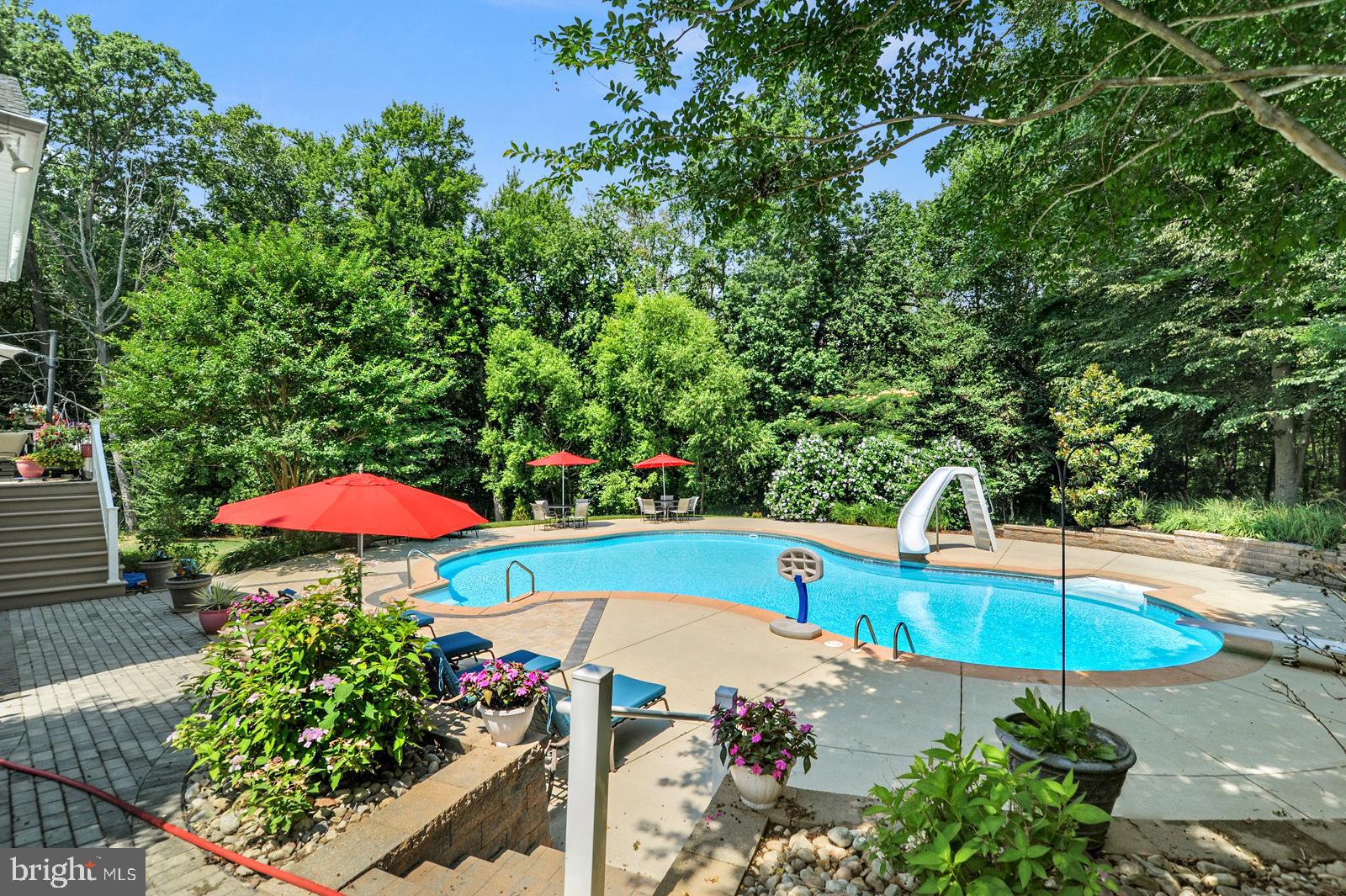 88 Wildswood Road Dover, DE 19901 - Photo 42 of 50 Heated Saltwater Pool