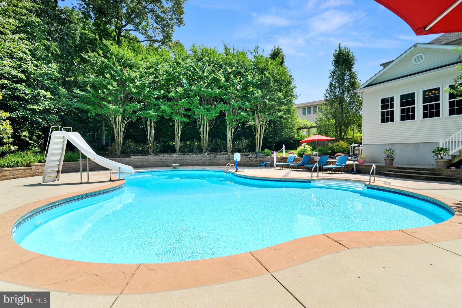 88 Wildswood Road Dover, DE 19901 - Photo 44 of 50 Mature Arborvitae Trees for Privacy