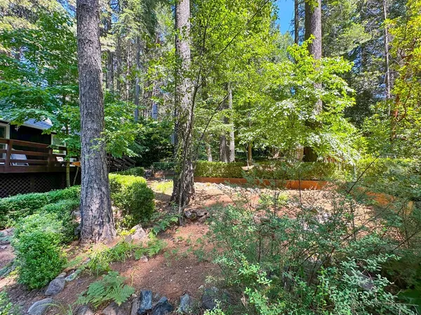 a backyard of a house with lots of green space