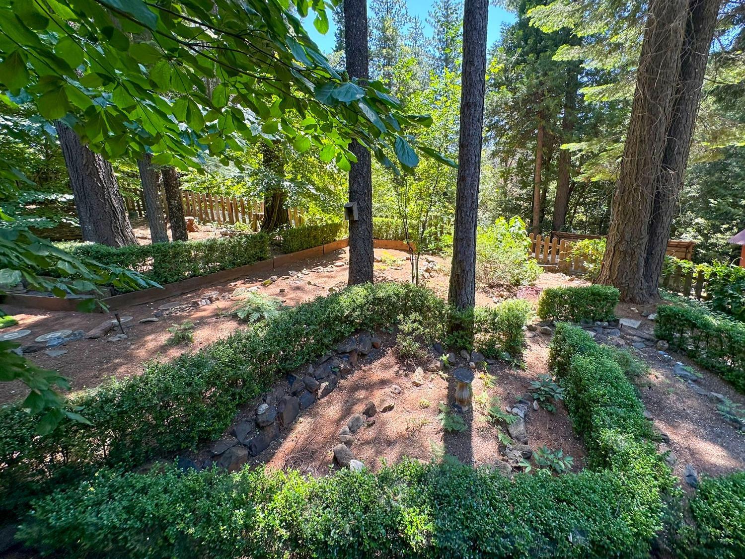 16878 Pasquale Road Nevada City, CA 95959 - Photo 29 of 36 a backyard of a house with lots of green space