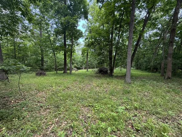 a view of outdoor space with trees all around
