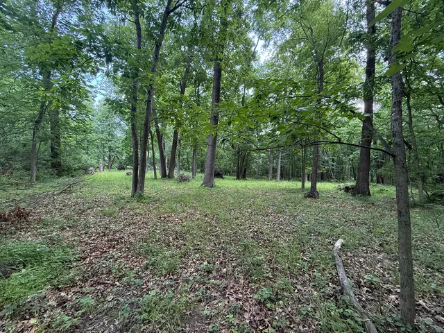 a view of a yard with a tree