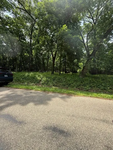 a view of a yard with a large trees