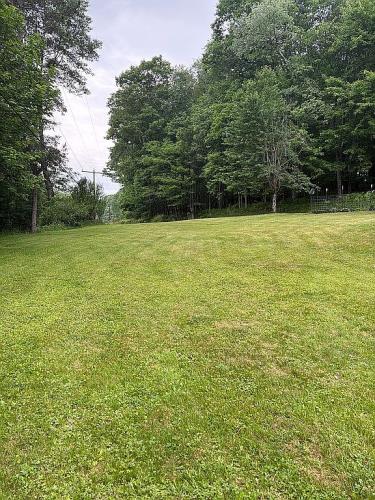 2189 Table Rock Road Oakland, MD 21550 - Photo 19 of 26