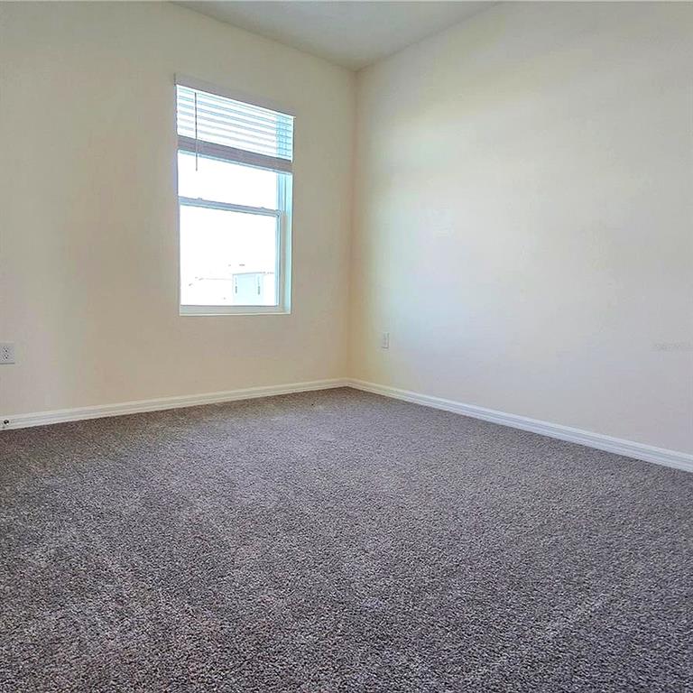 31375 Penny Surf Loop Wesley Chapel, FL 33545 - Photo 29 of 54