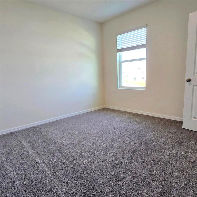 31375 Penny Surf Loop Wesley Chapel, FL 33545 - Photo 31 of 54