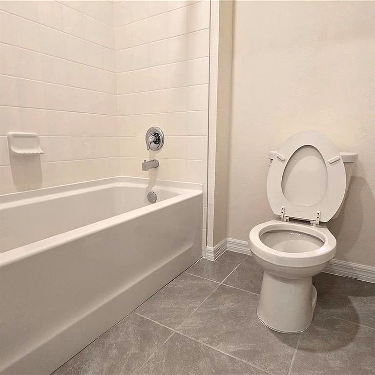 31375 Penny Surf Loop Wesley Chapel, FL 33545 - Photo 33 of 54