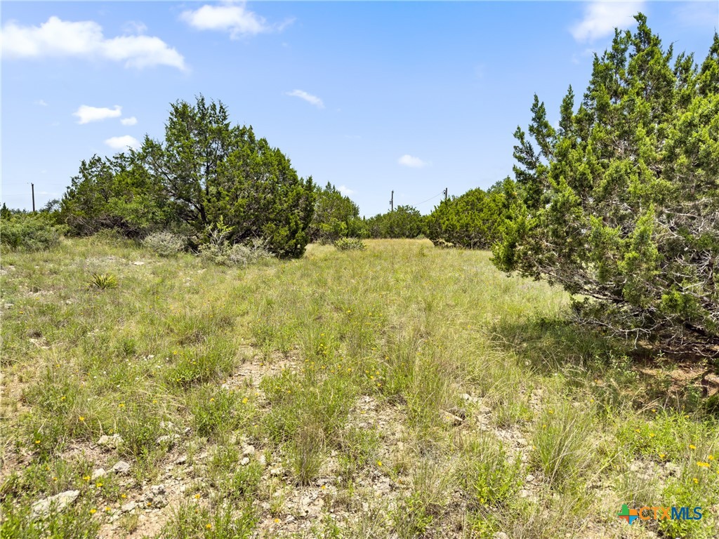 141 Vista View Place Spring Branch, TX 78070 - Photo 14 of 32