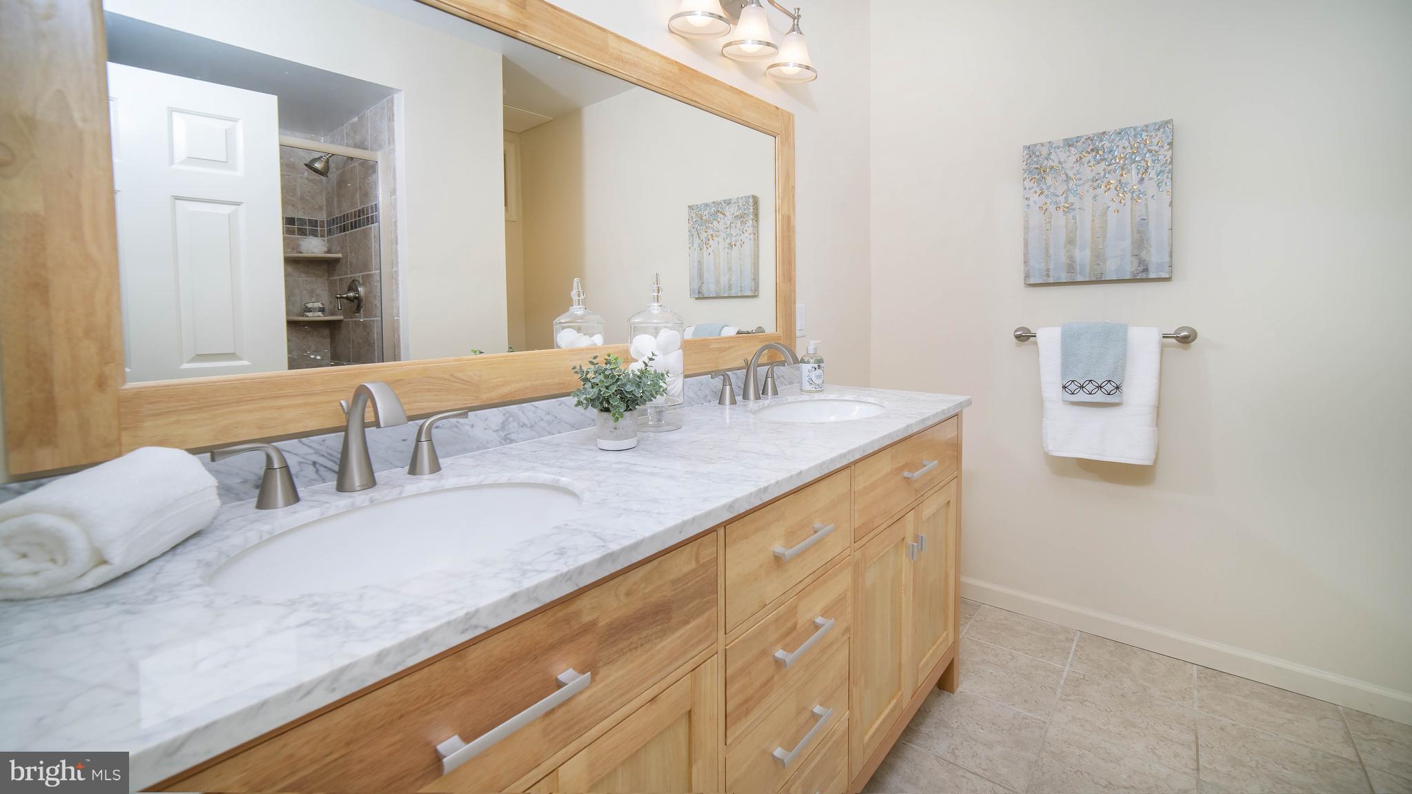 339 High Ridge Road Chadds Ford, PA 19317 - Photo 24 of 28 Full Bath on Lower Level with Double Vanity