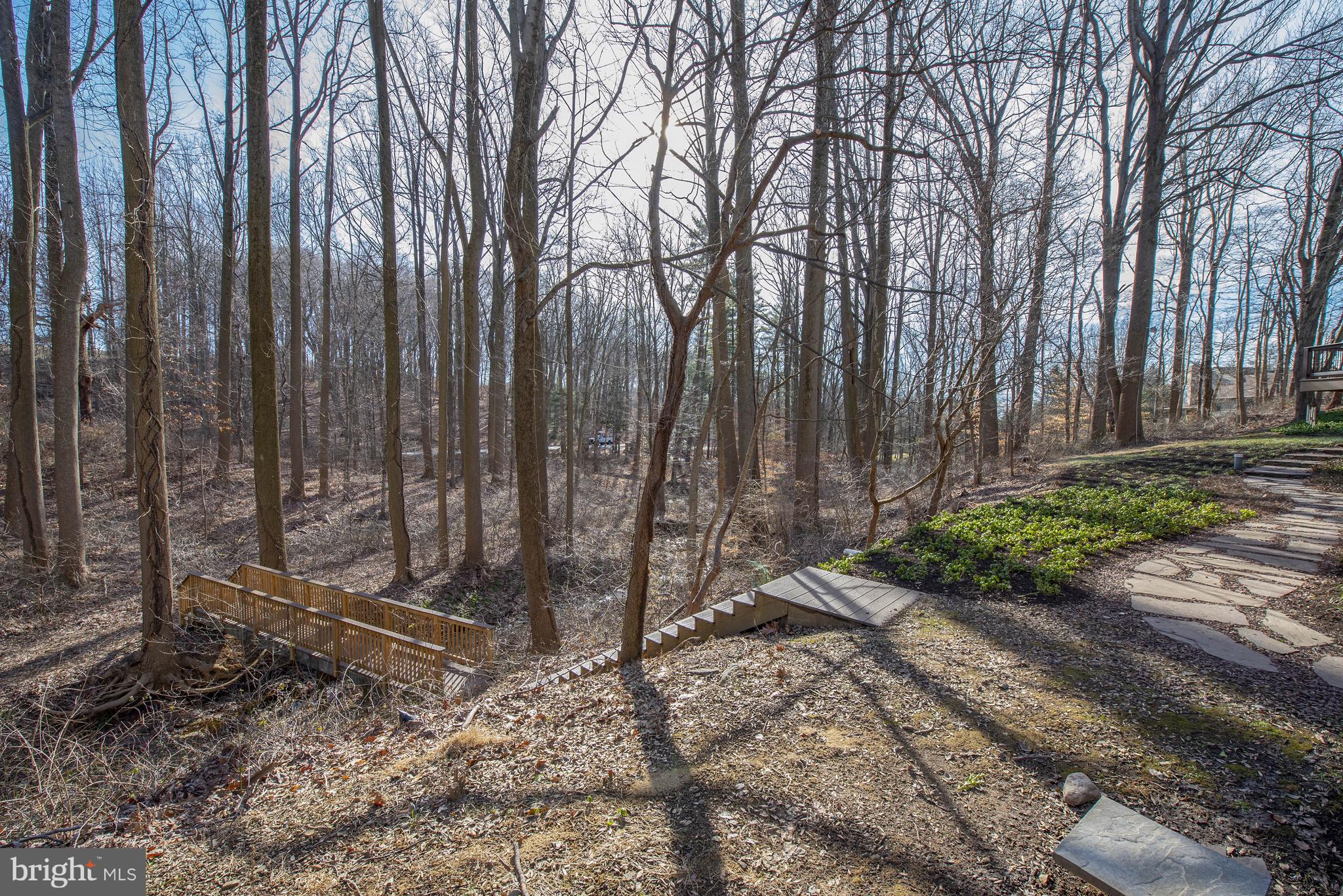 339 High Ridge Road Chadds Ford, PA 19317 - Photo 27 of 28 Steps & Bridge in Rear Yard for Exploring