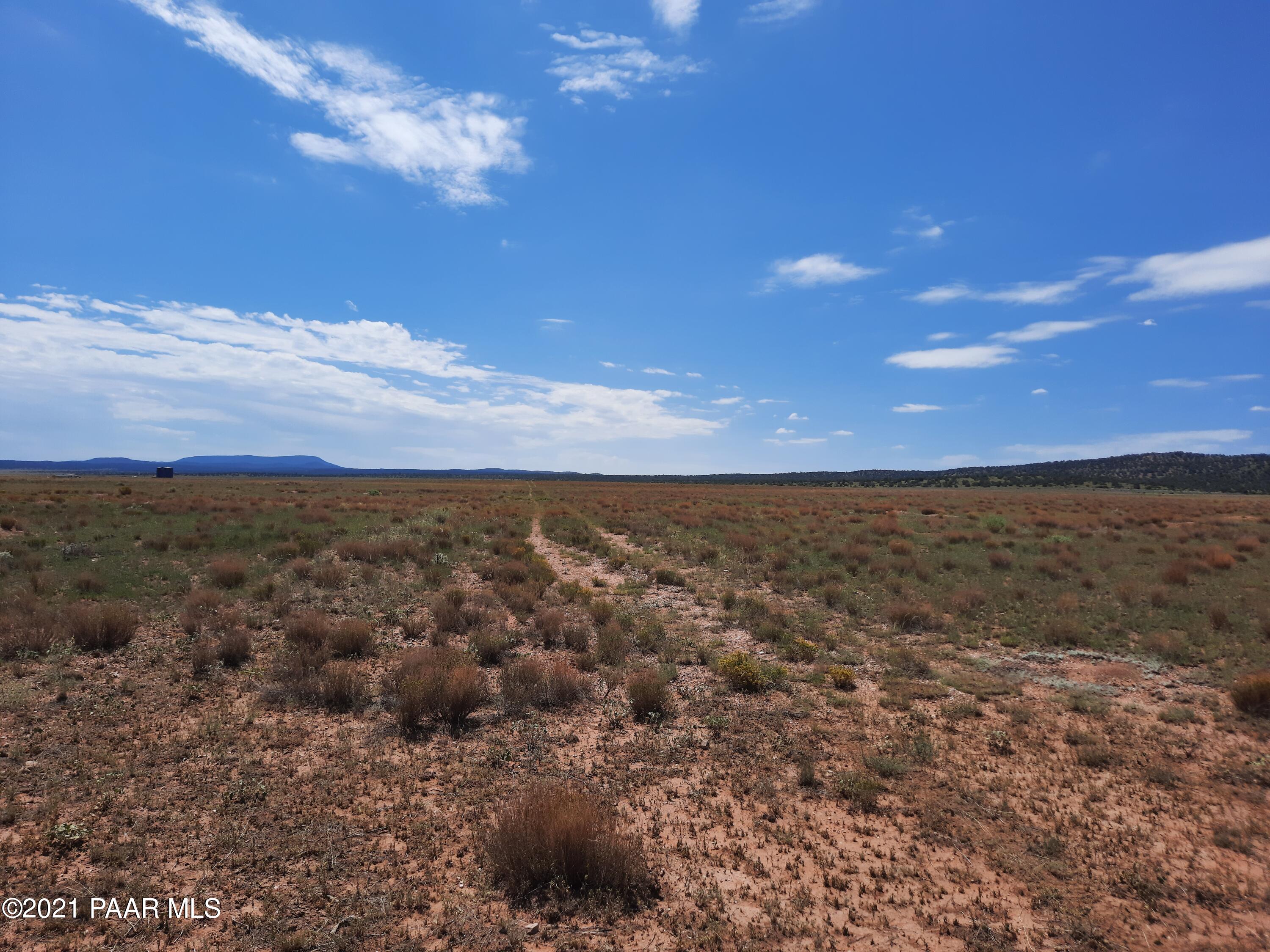 0 Pica Road Seligman, AZ 86337 - Photo 3 of 7 20210830_115013