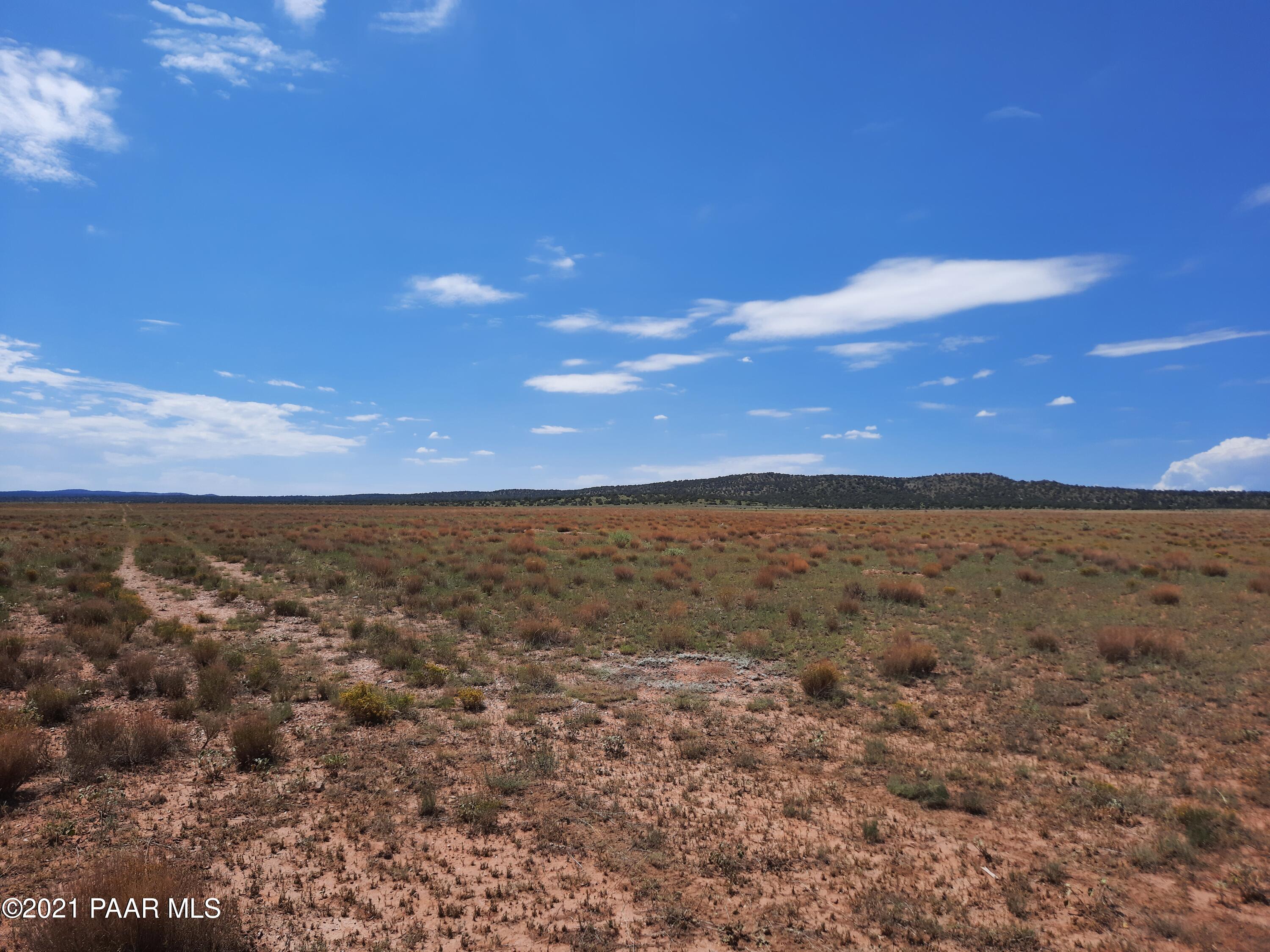 0 Pica Road Seligman, AZ 86337 - Photo 4 of 7 20210830_115010