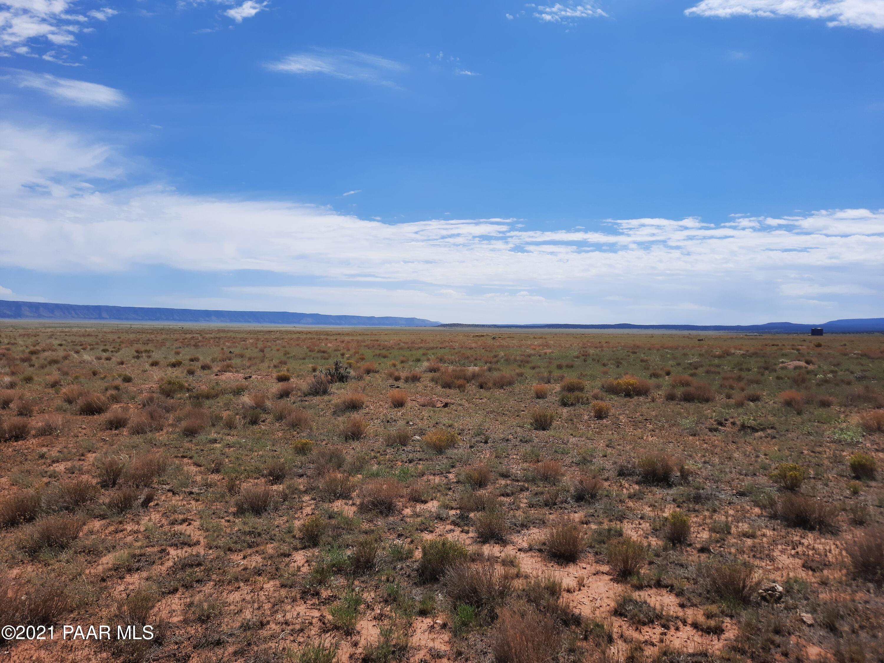 0 Pica Road Seligman, AZ 86337 - Photo 5 of 7 20210830_114959