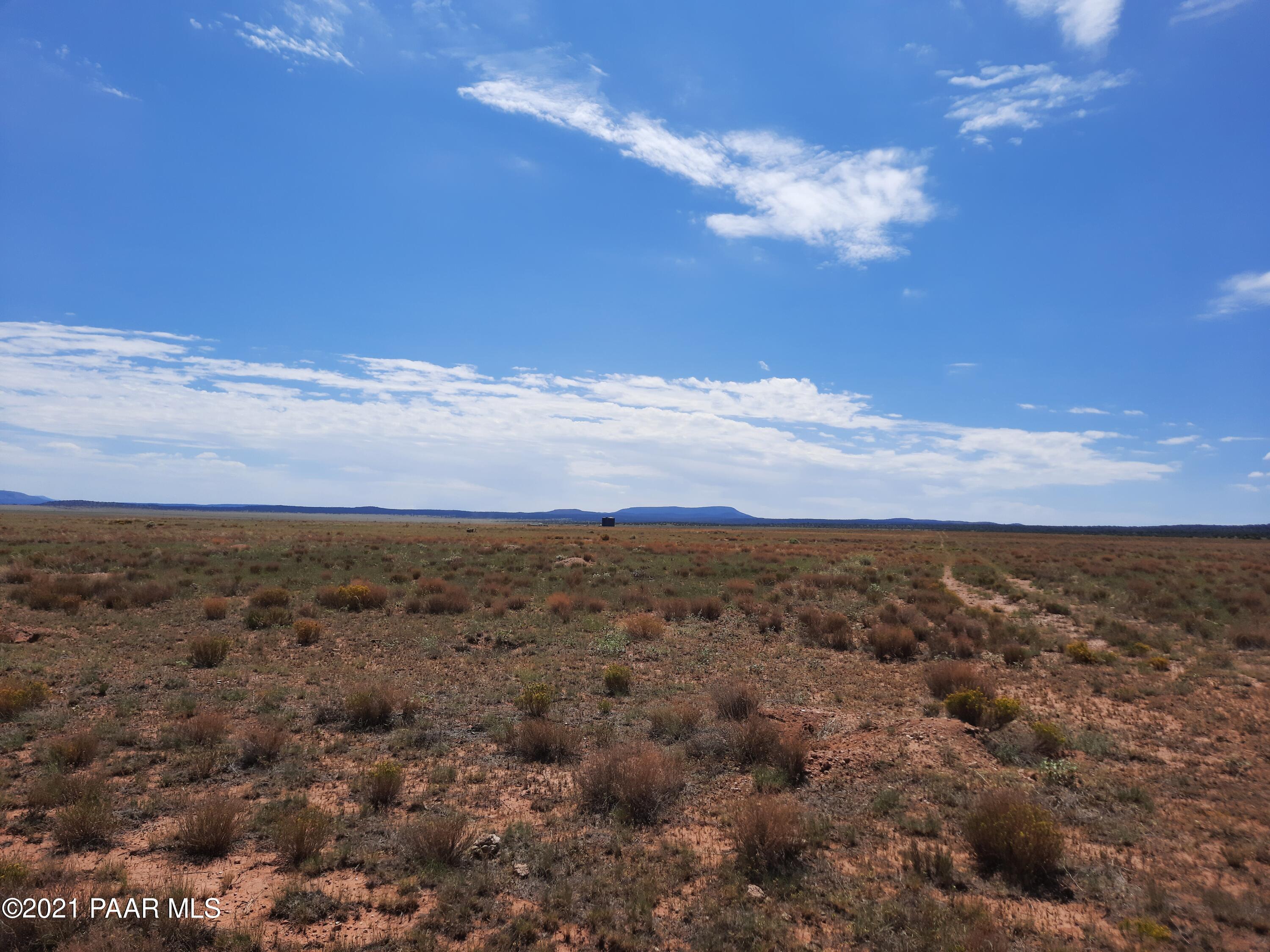 0 Pica Road Seligman, AZ 86337 - Photo 6 of 7 20210830_114954
