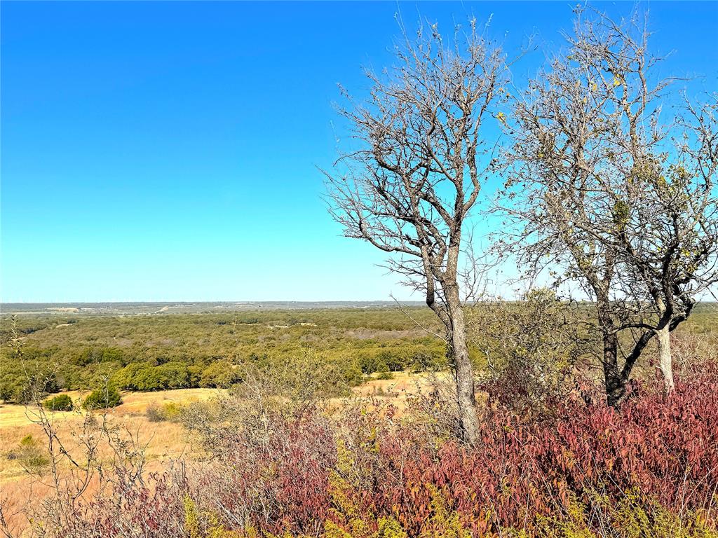 1849 2 Bush Road Perrin, TX 76486 - Photo 7 of 40