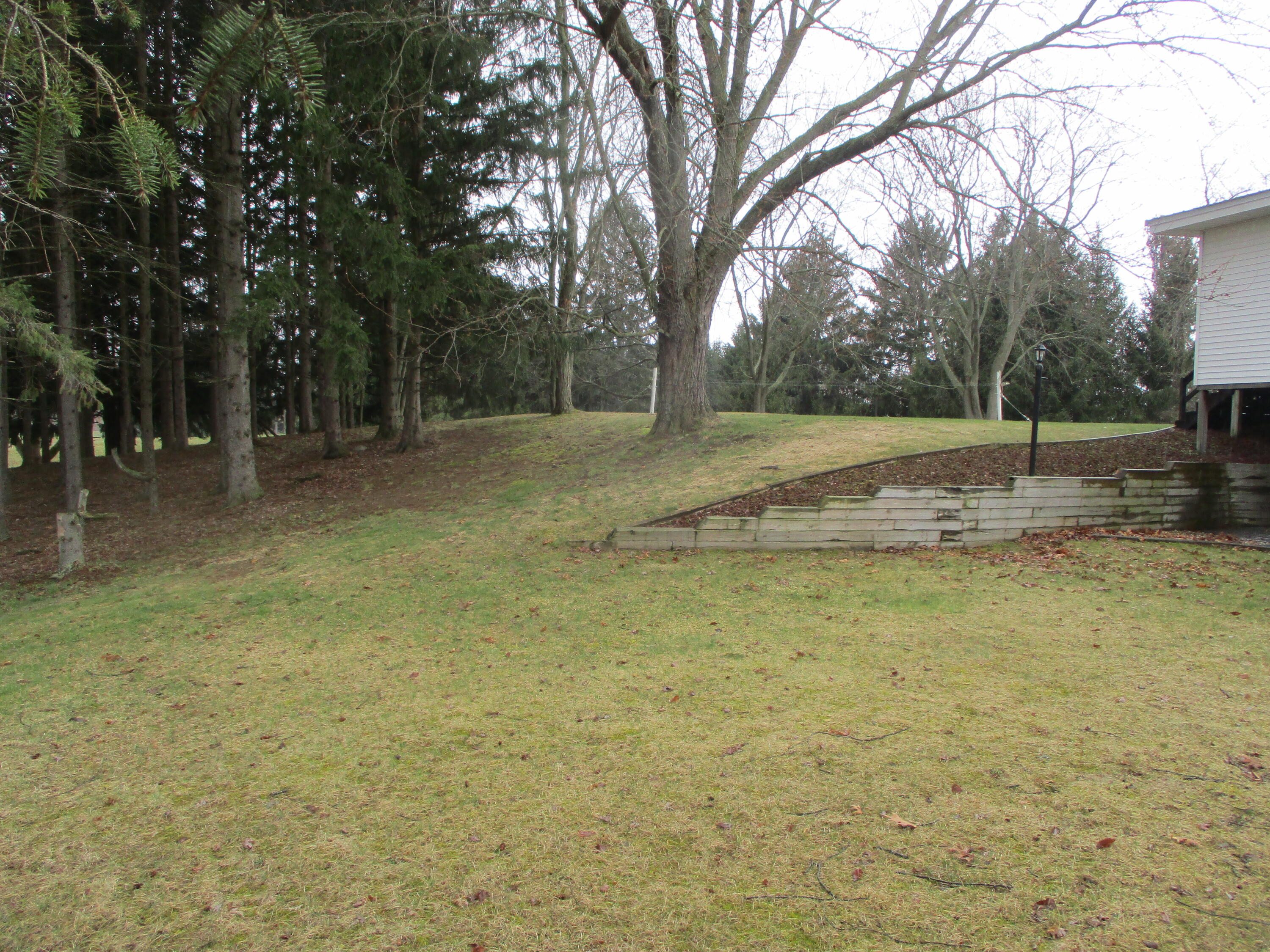 6200 Deaner Road Northeast Edmore, MI 48829 - Photo 25 of 61 IMG_6756