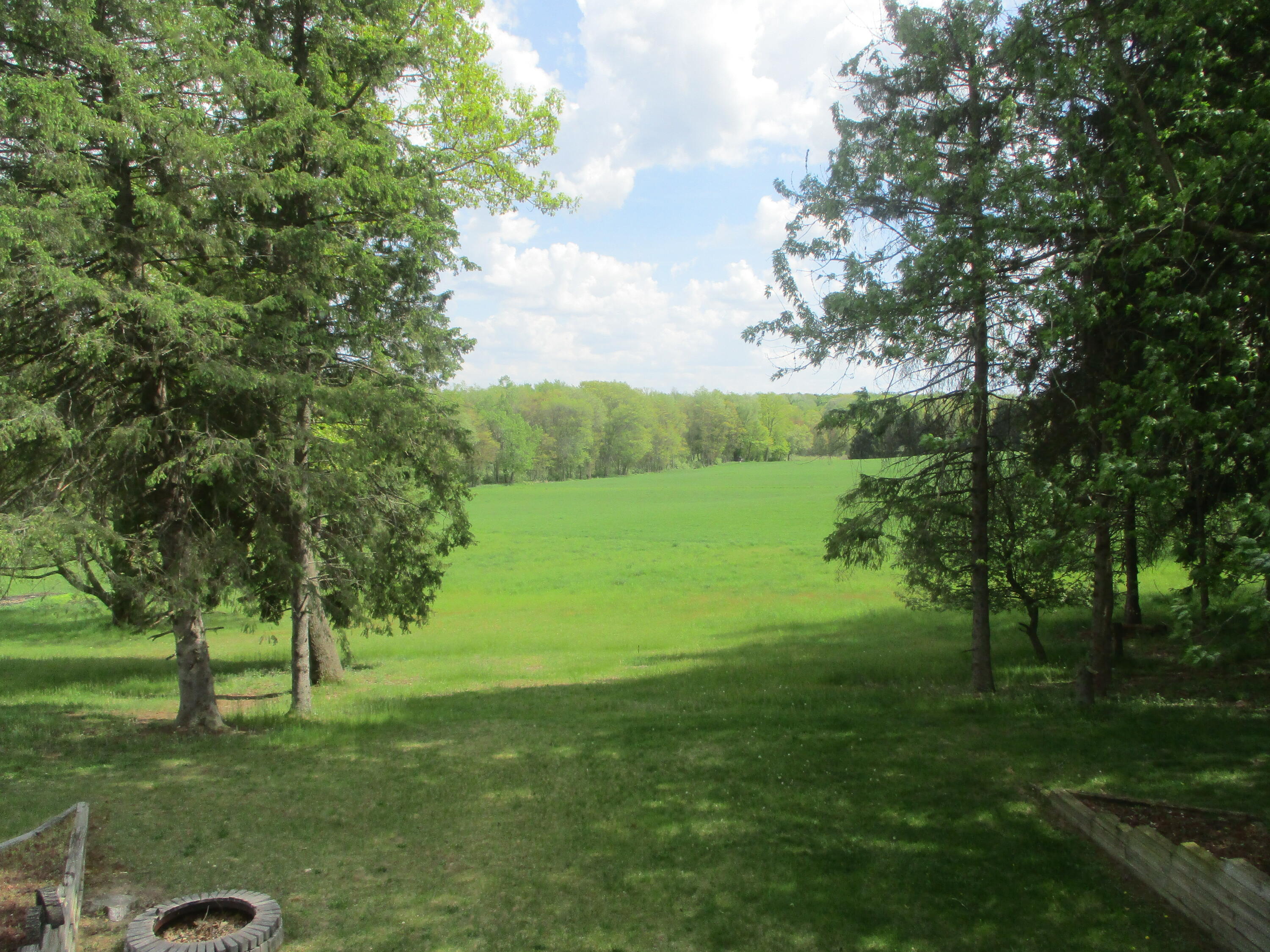 6200 Deaner Road Northeast Edmore, MI 48829 - Photo 4 of 61 IMG_6926