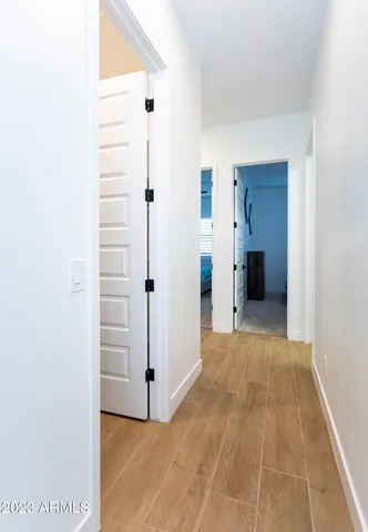 a bathroom with a sink a mirror and a potted plant