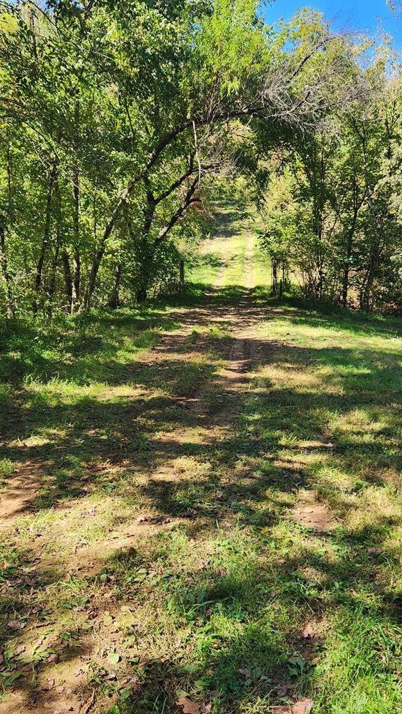 0 Reagan Branch Road Seymour, TN 37865 - Photo 30 of 31