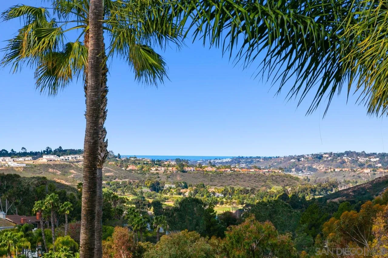 6658 Niemann Ranch Road Rancho Santa Fe, CA 92067 - Photo 32 of 35 a view of a city