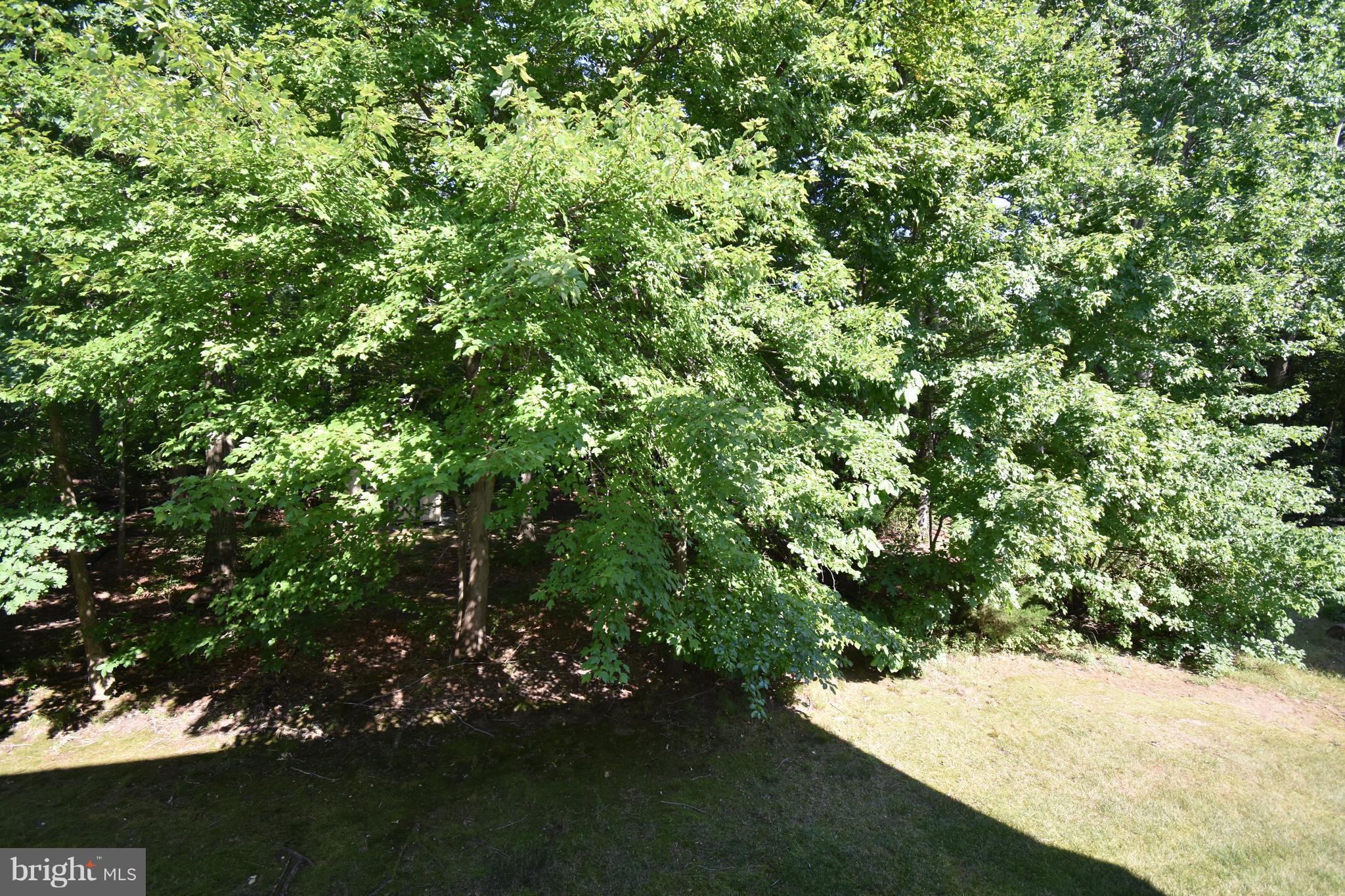 1013 Mariner Road Joppa, MD 21085 - Photo 29 of 29 Exterior (Rear)