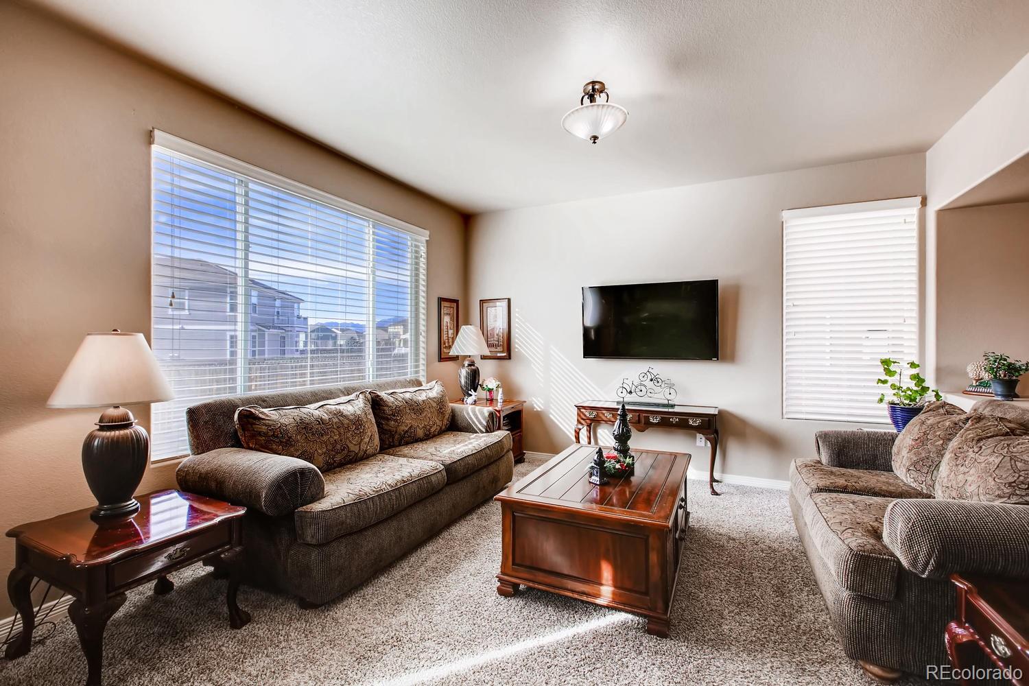 2184 Reed Grass Way Colorado Springs, CO 80915 - Photo 8 of 29 a living room with furniture and a flat screen tv