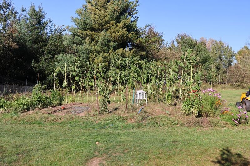 39142 North York Road High Bridge, WI 54846 - Photo 62 of 78 Gallery Image 62